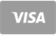 Visa card payment accepted at Pistolo Casino